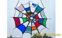 3 010 spinnennetz