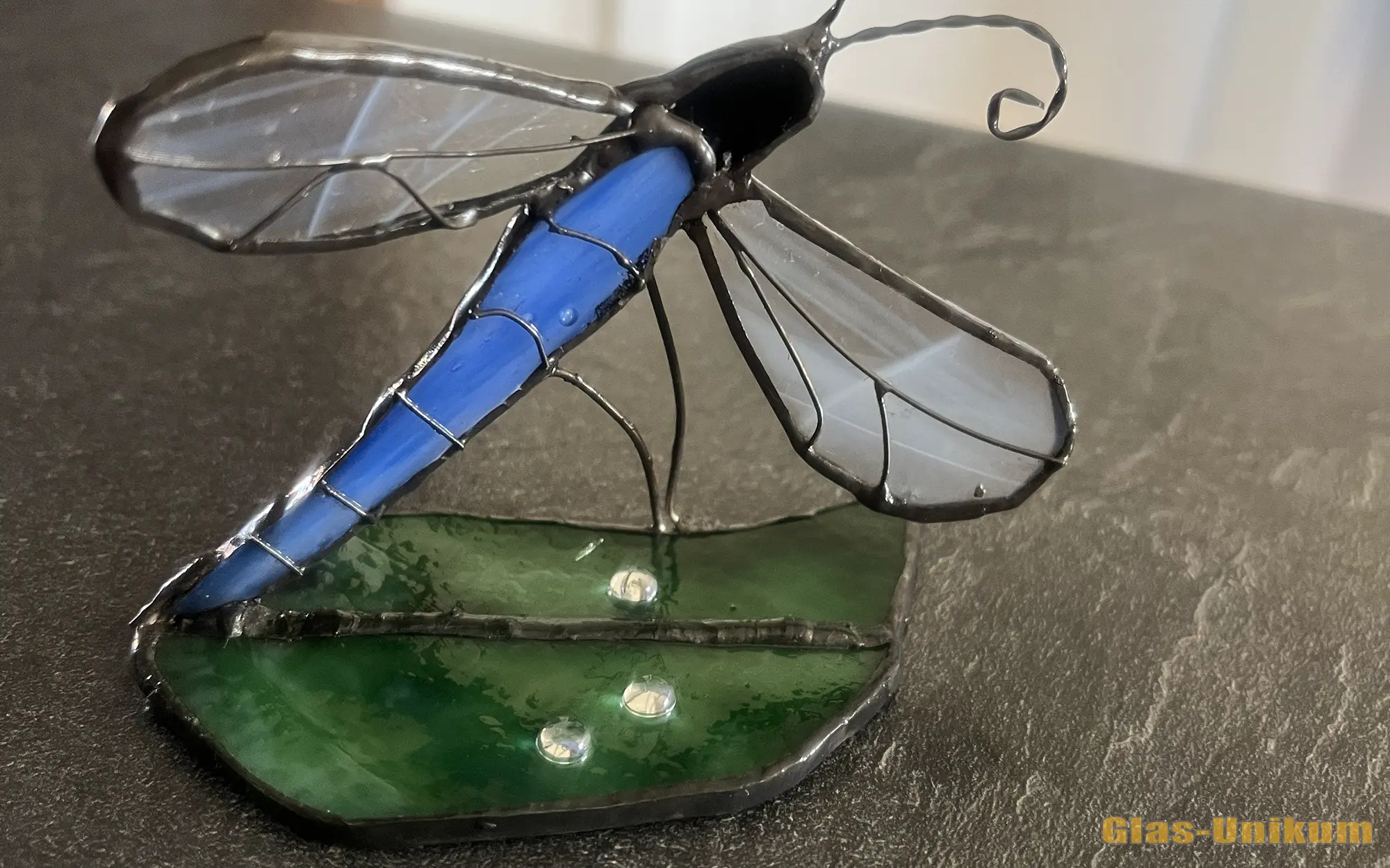 2 052 Libelle Auf Blatt