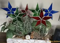 Thumb 9 015 Stern Stecker